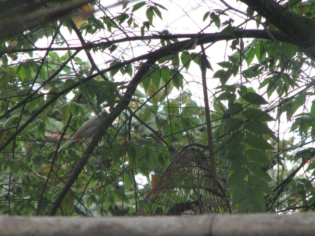 IMG_0217.jpg